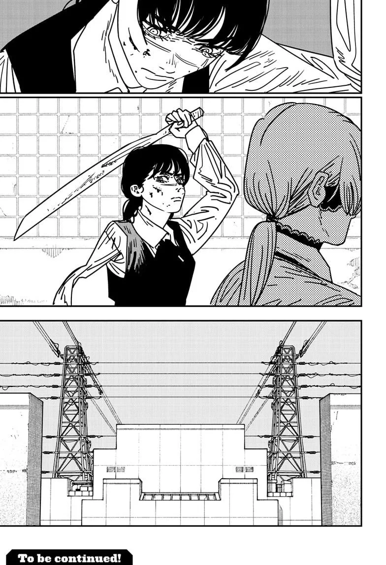 Chainsaw Man, chapter 162, image 17
