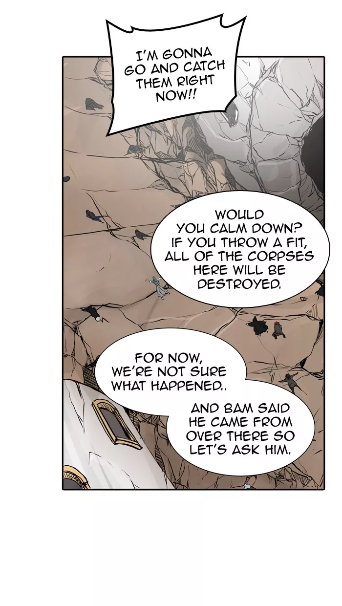 Tower of God, chapter 336, image 24