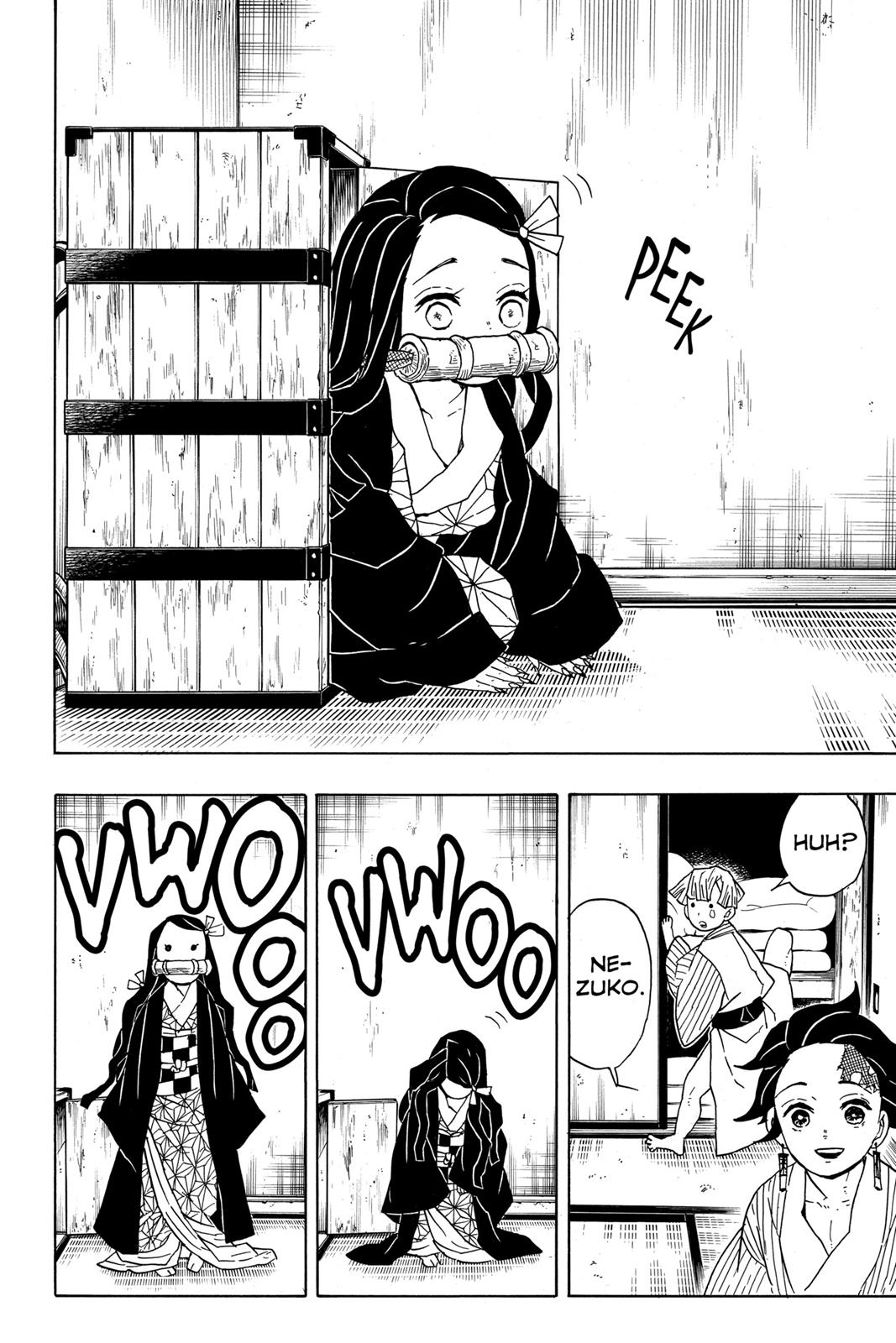 Demon Slayer: Kimetsu no Yaiba, chapter 27, image 16