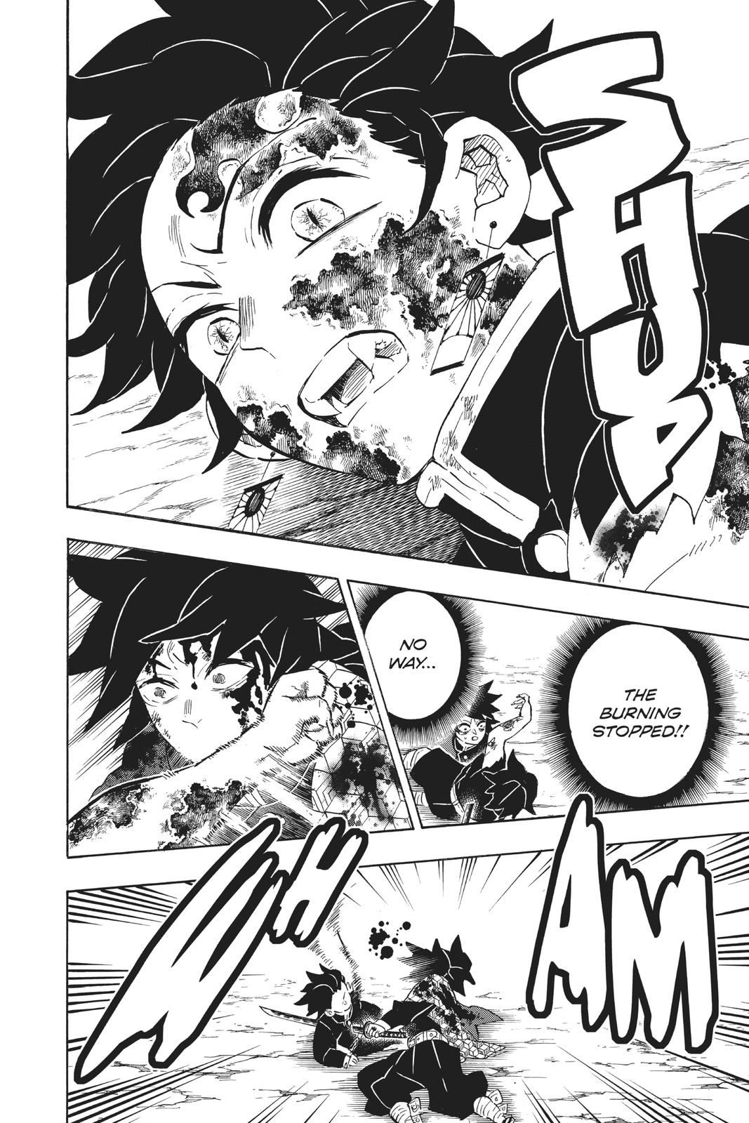 Demon Slayer: Kimetsu no Yaiba, chapter 201, image 14