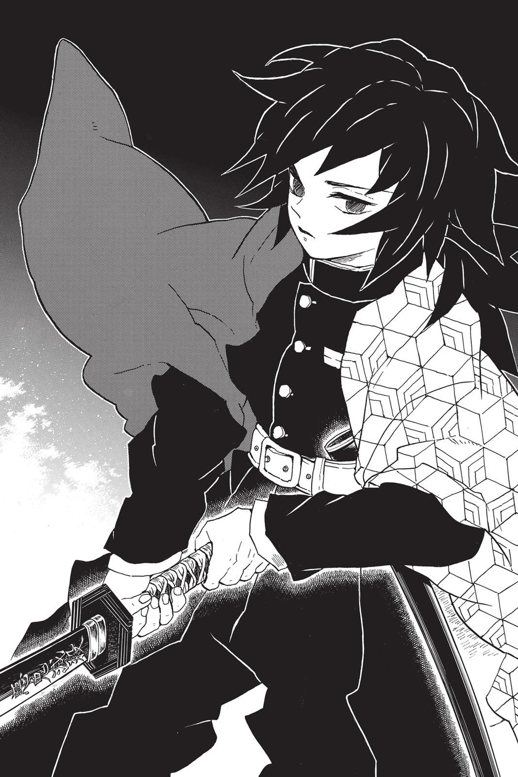 Demon Slayer: Kimetsu no Yaiba, chapter 37, image 13