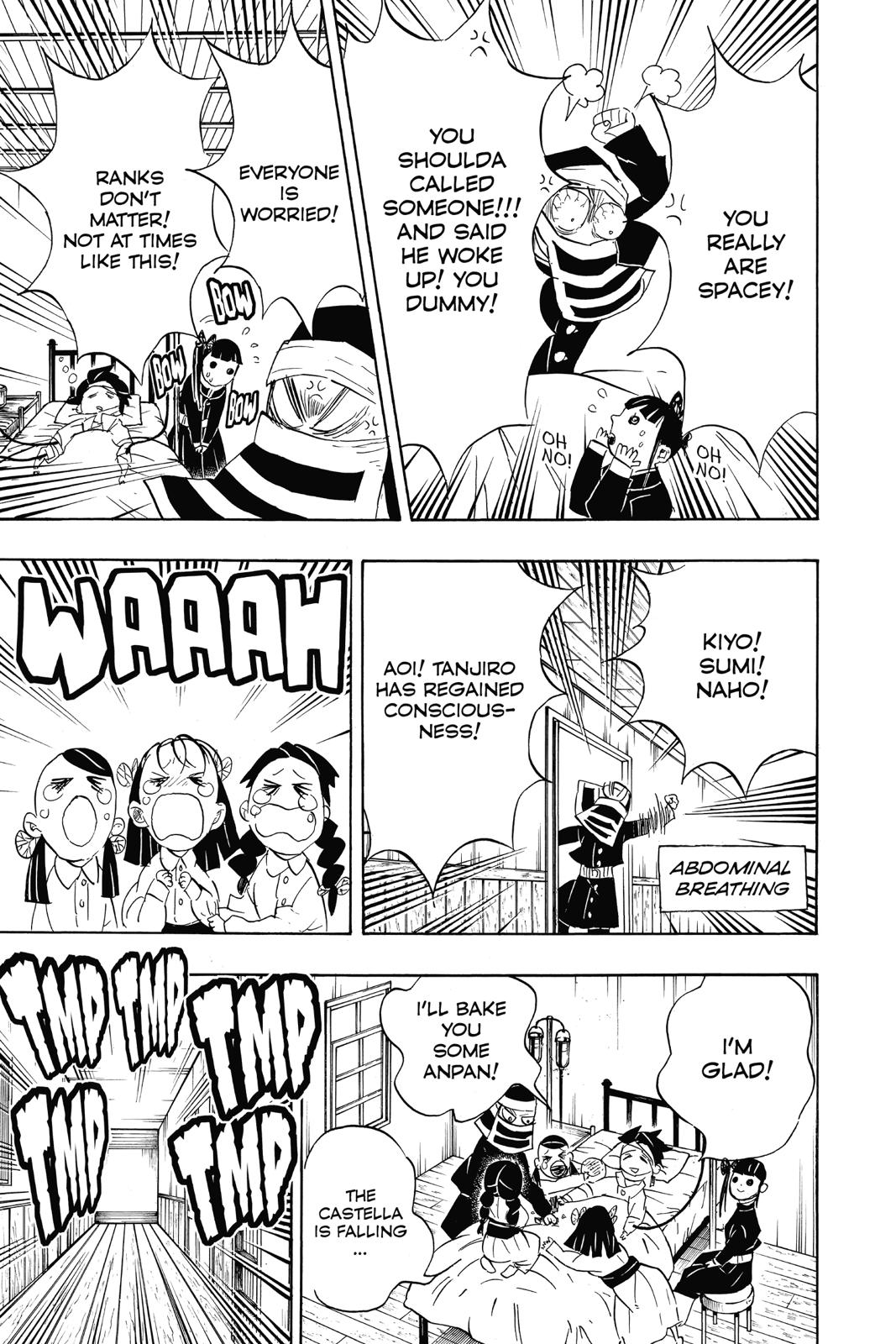 Demon Slayer: Kimetsu no Yaiba, chapter 100, image 5