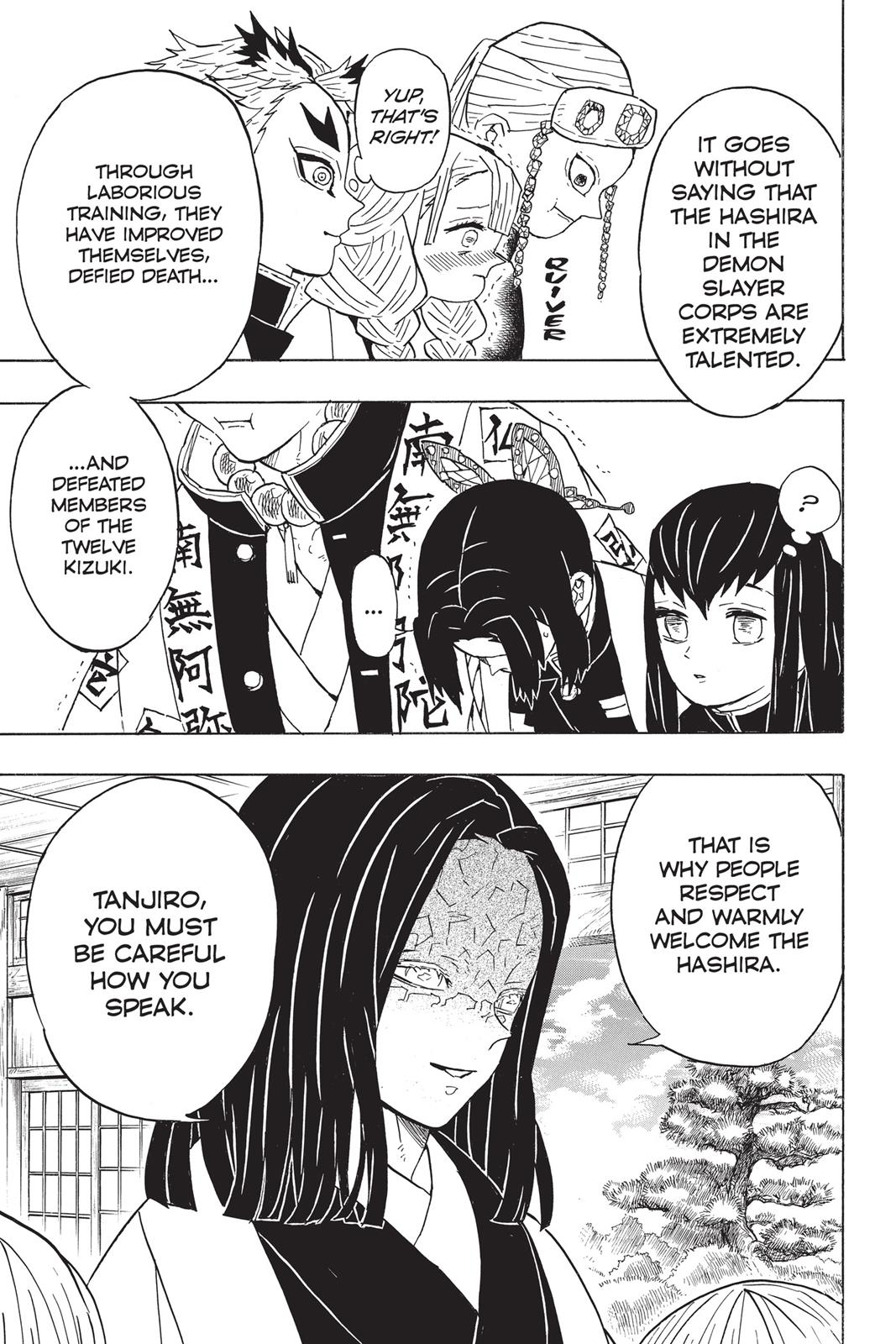 Demon Slayer: Kimetsu no Yaiba, chapter 47, image 17