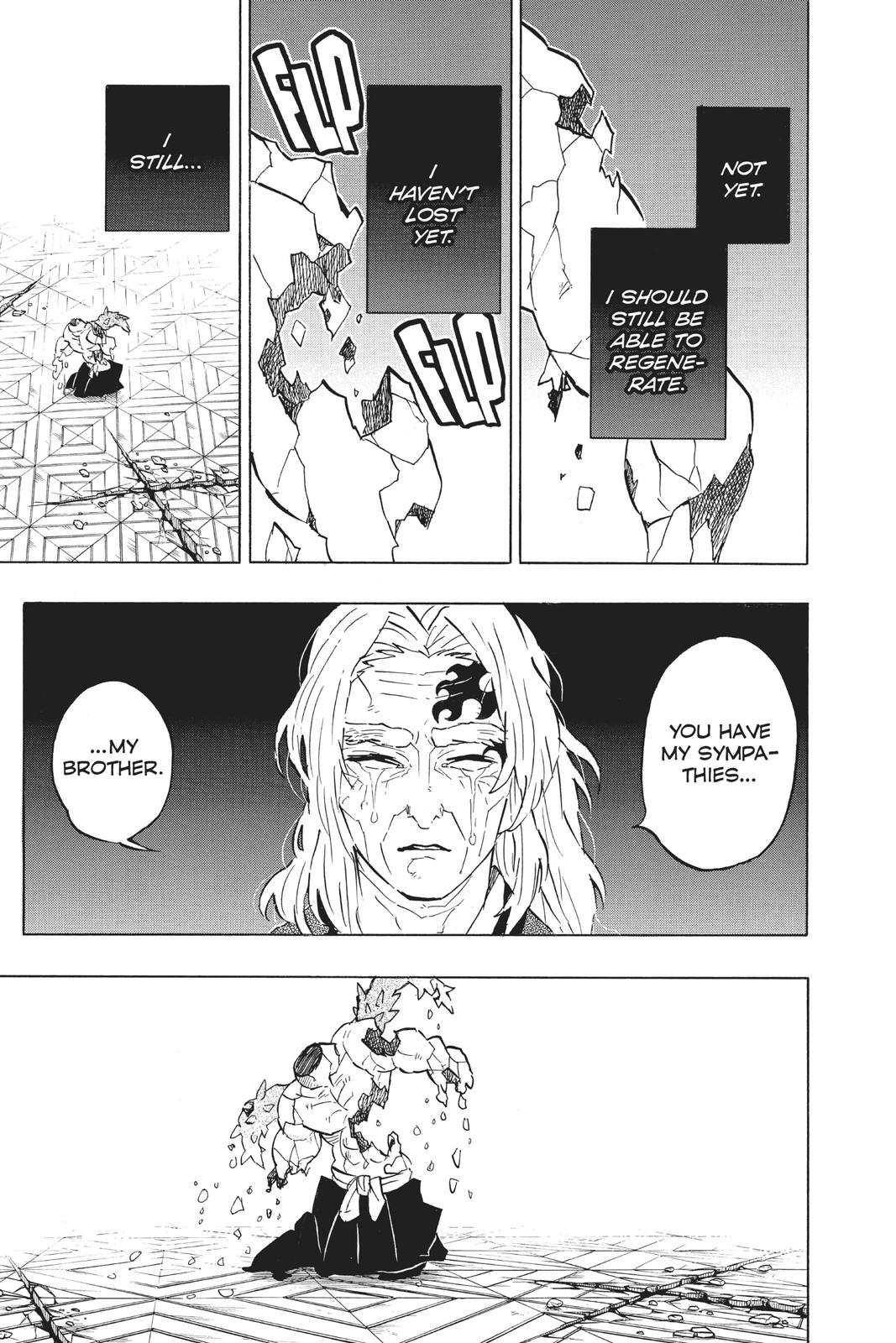 Demon Slayer: Kimetsu no Yaiba, chapter 176, image 17