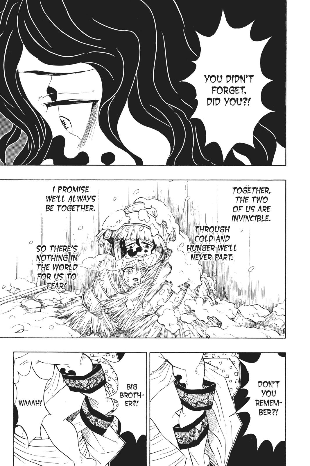 Demon Slayer: Kimetsu no Yaiba, chapter 97, image 9