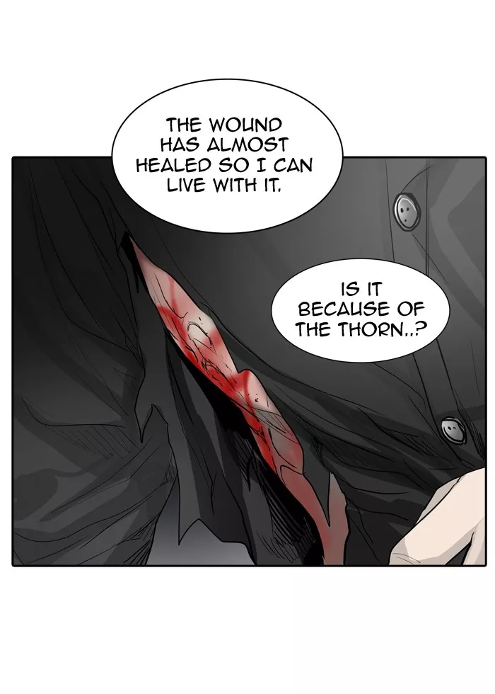 Tower of God, chapter 355, image 45