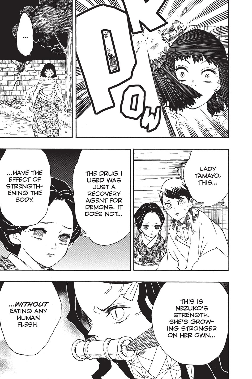 Demon Slayer: Kimetsu no Yaiba, chapter 18, image 13