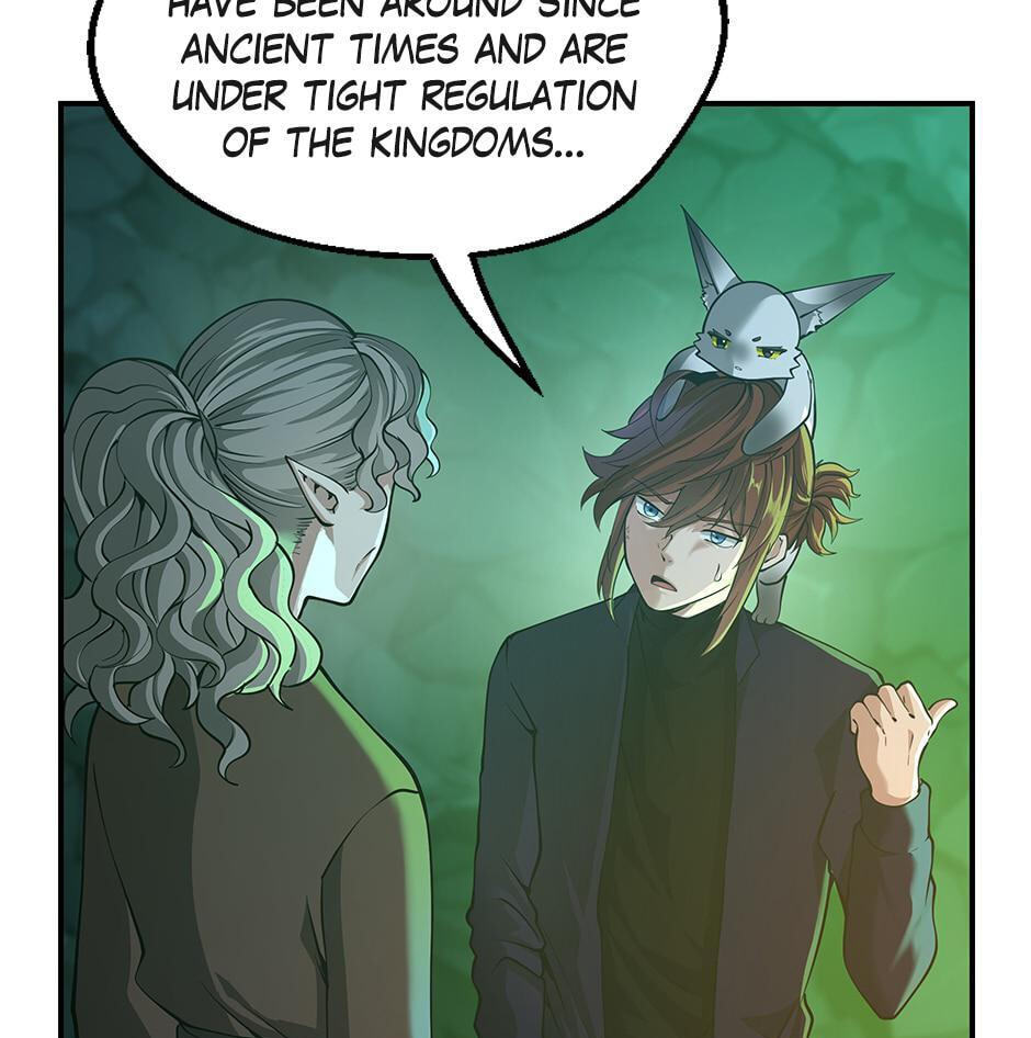 The Beginning After the End, chapter 133, image 35