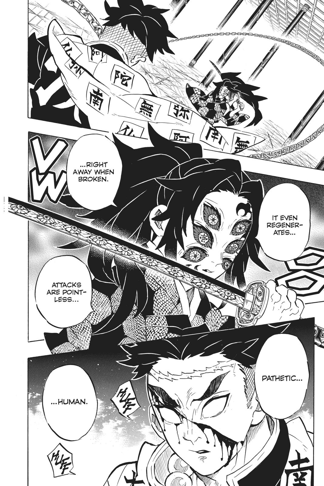 Demon Slayer: Kimetsu no Yaiba, chapter 169, image 17