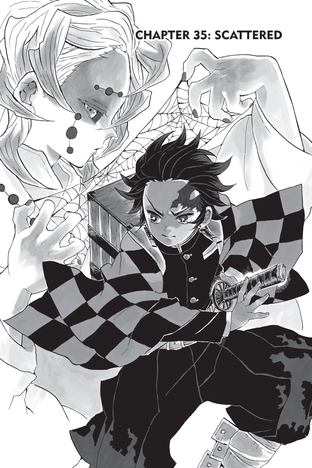 Demon Slayer: Kimetsu no Yaiba, chapter 35, image 7