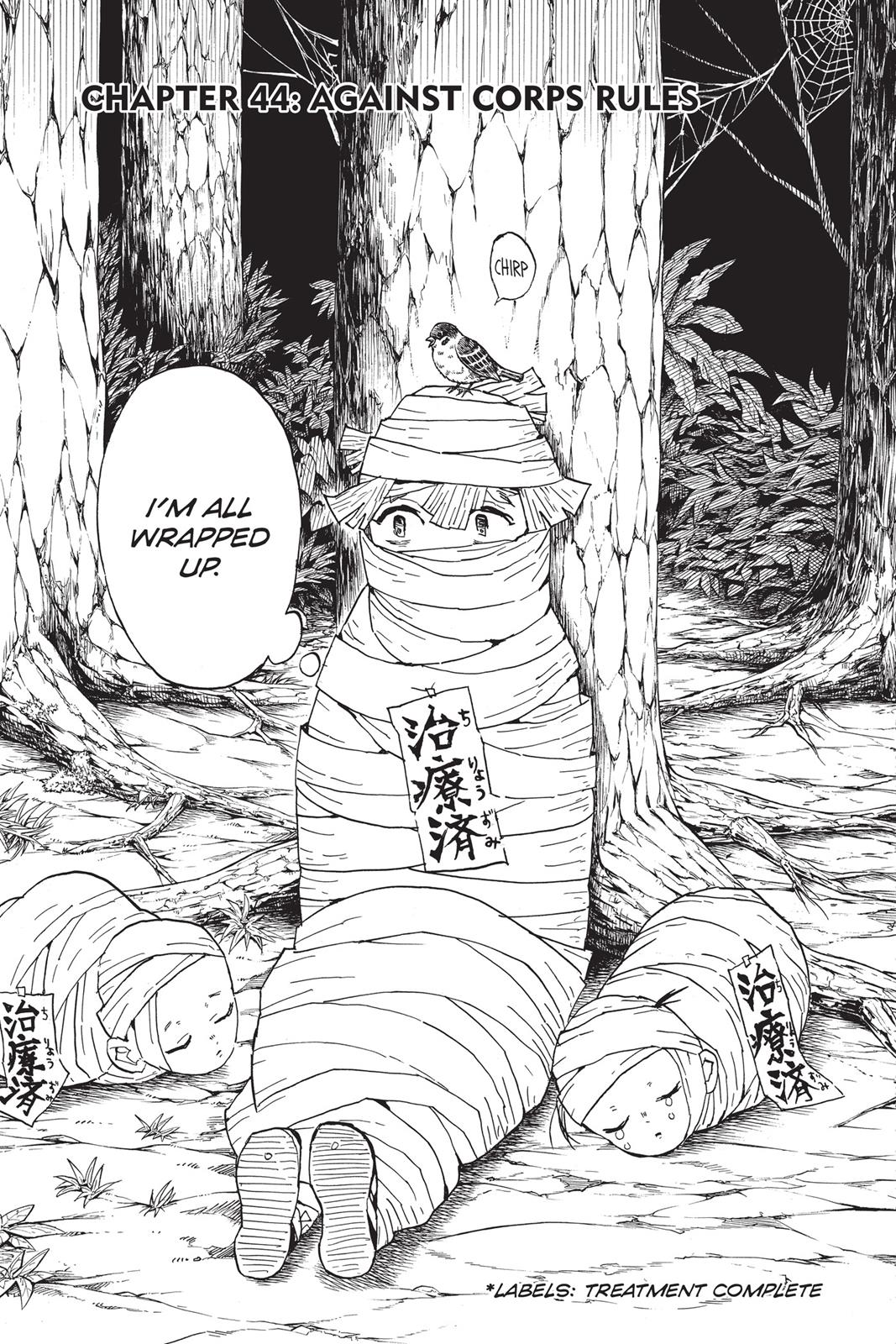 Demon Slayer: Kimetsu no Yaiba, chapter 44, image 7