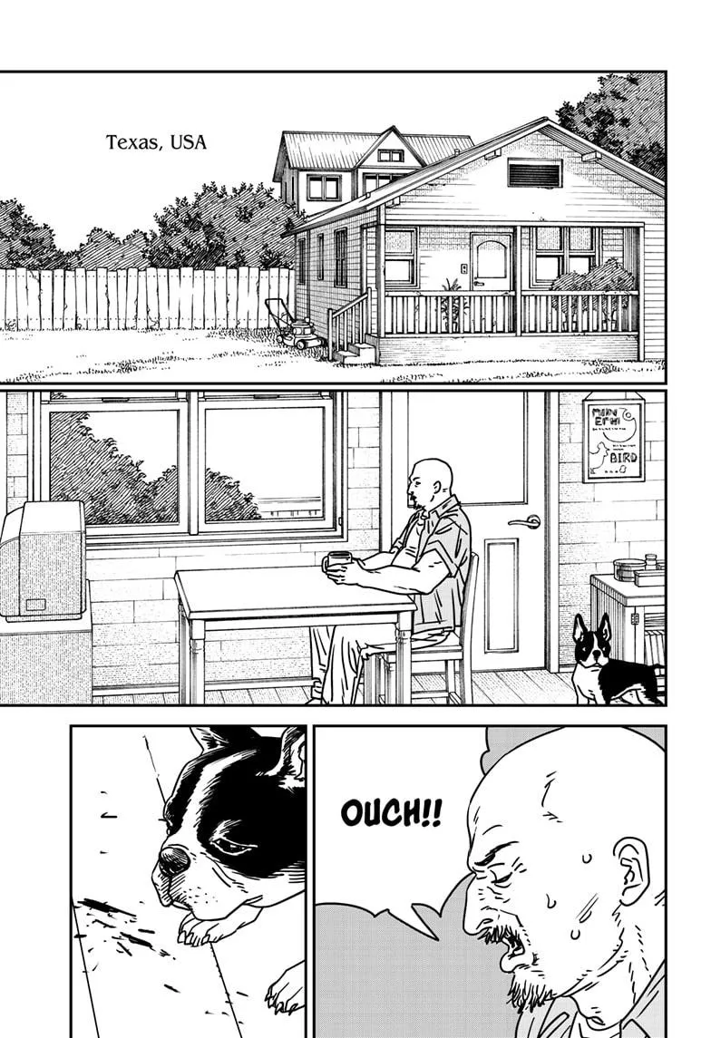 Chainsaw Man, chapter 177, image 13