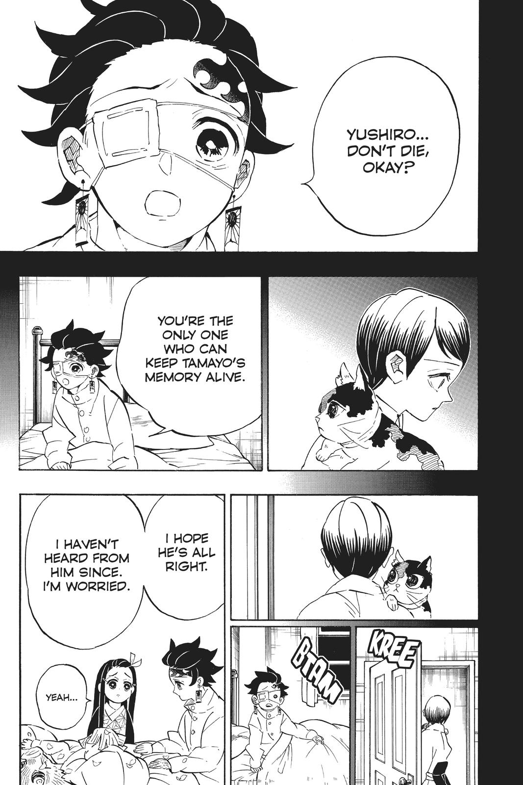Demon Slayer: Kimetsu no Yaiba, chapter 204, image 8