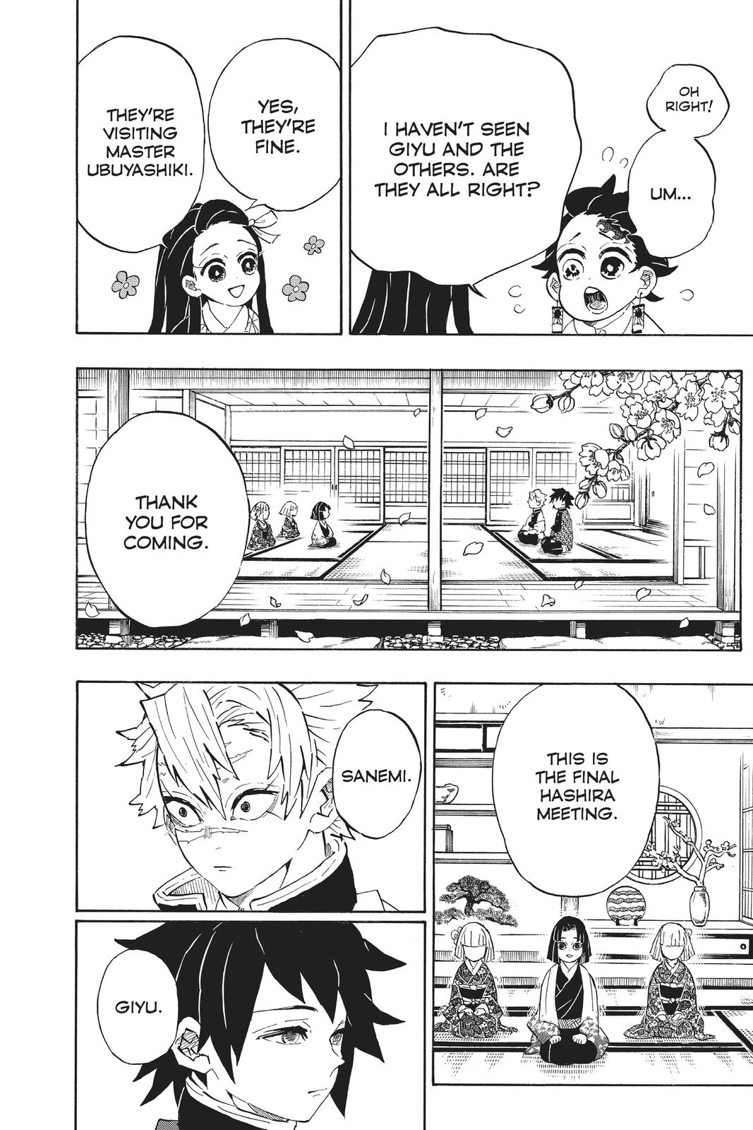 Demon Slayer: Kimetsu no Yaiba, chapter 204, image 9