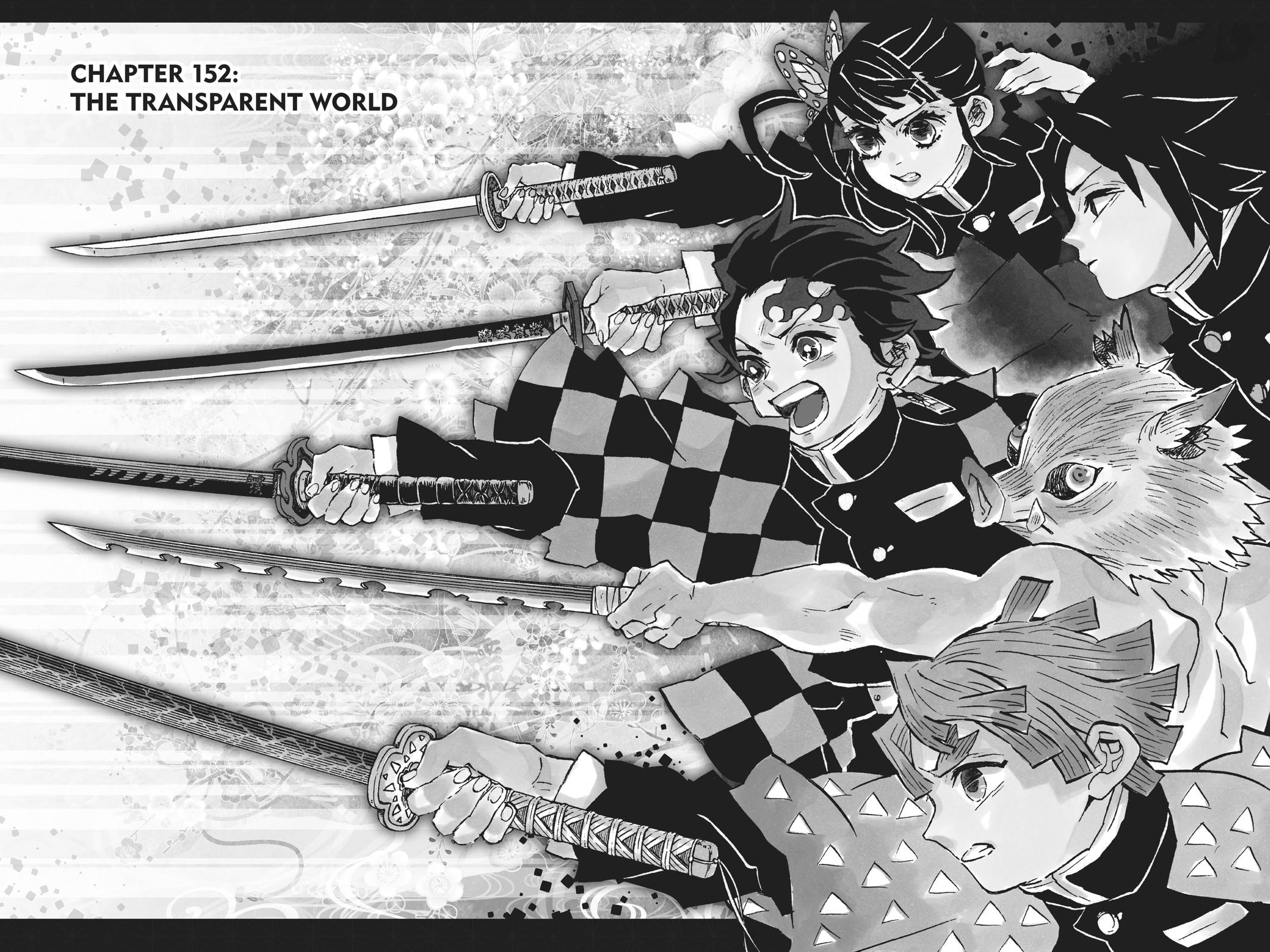 Demon Slayer: Kimetsu no Yaiba, chapter 152, image 8
