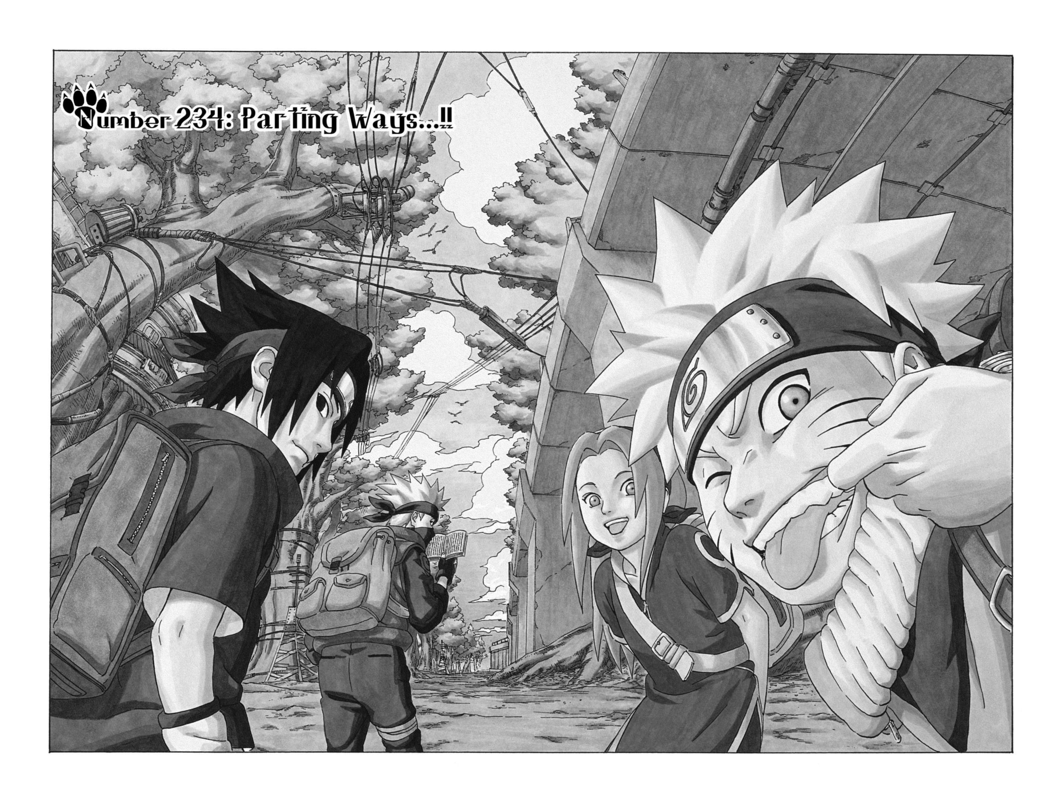 Naruto, chapter 234, image 2