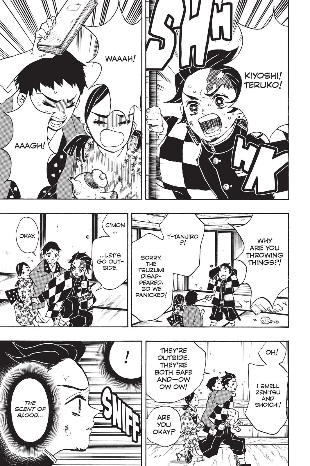 Demon Slayer: Kimetsu no Yaiba, chapter 25, image 17