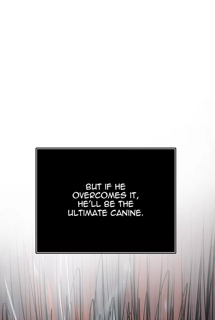 Tower of God, chapter 501, image 175