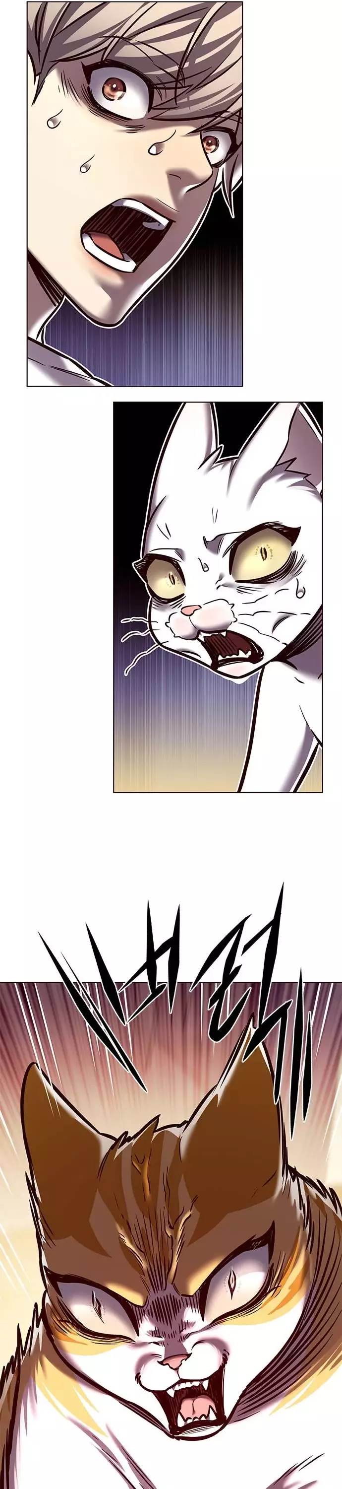 Eleceed, chapter 277, image 53