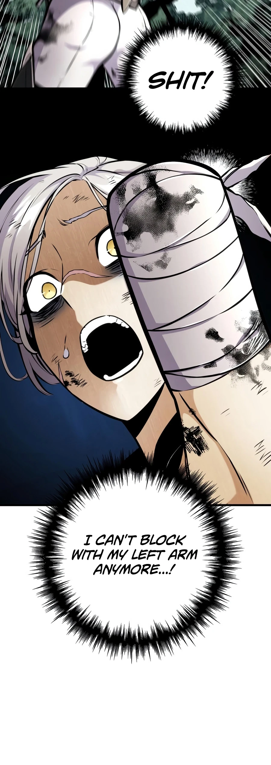 The Wandering Knight’s Survival Manual, chapter 52, image 14