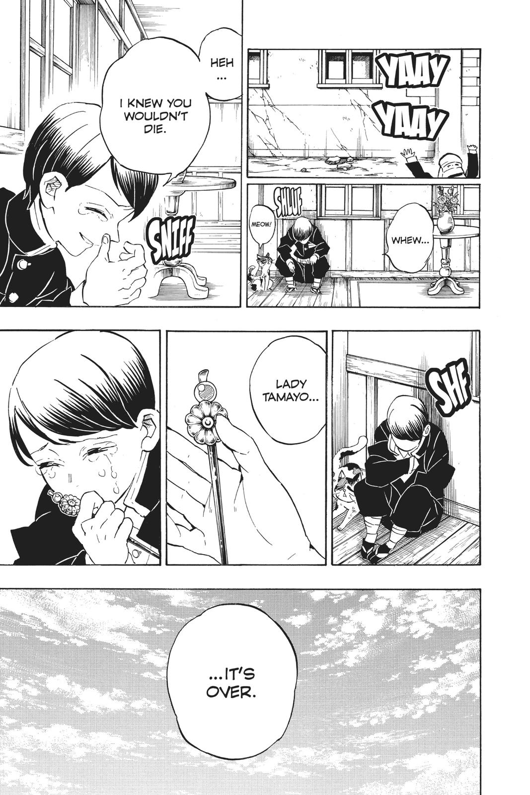 Demon Slayer: Kimetsu no Yaiba, chapter 203, image 19