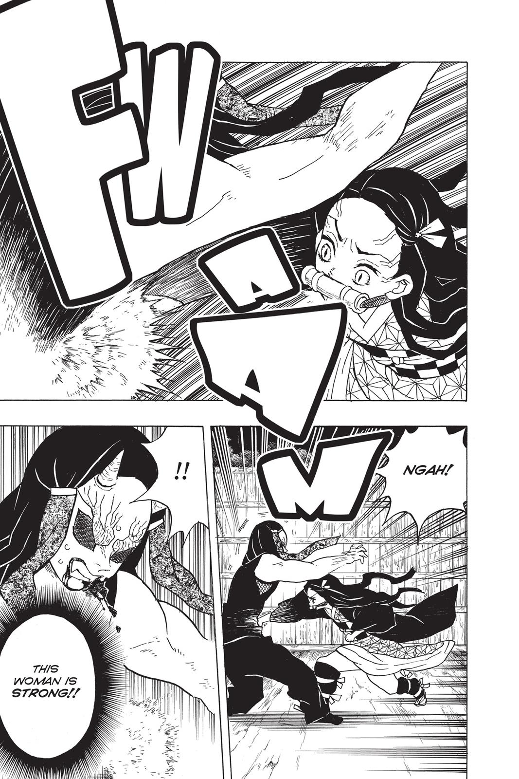 Demon Slayer: Kimetsu no Yaiba, chapter 12, image 13
