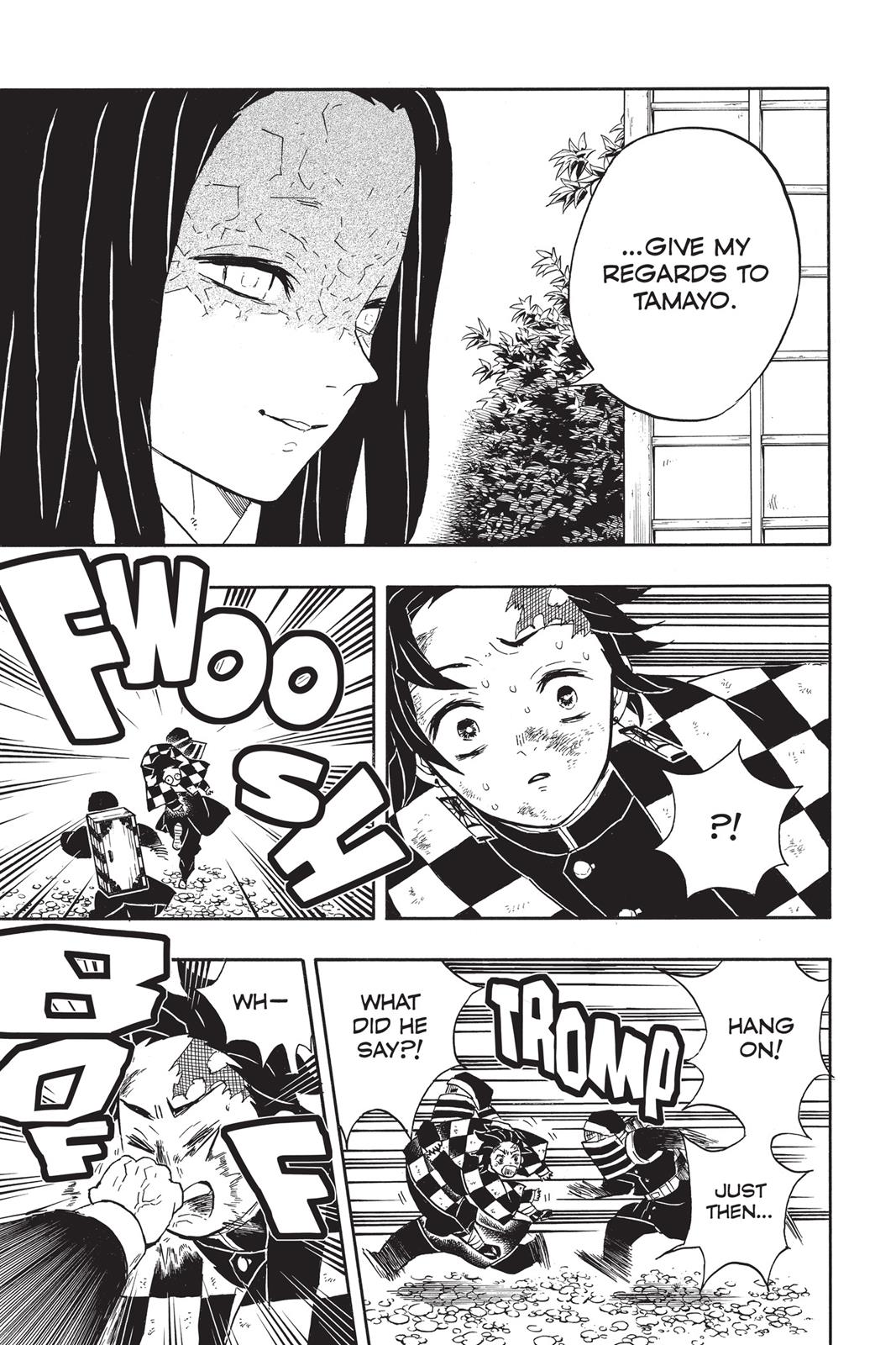 Demon Slayer: Kimetsu no Yaiba, chapter 48, image 5