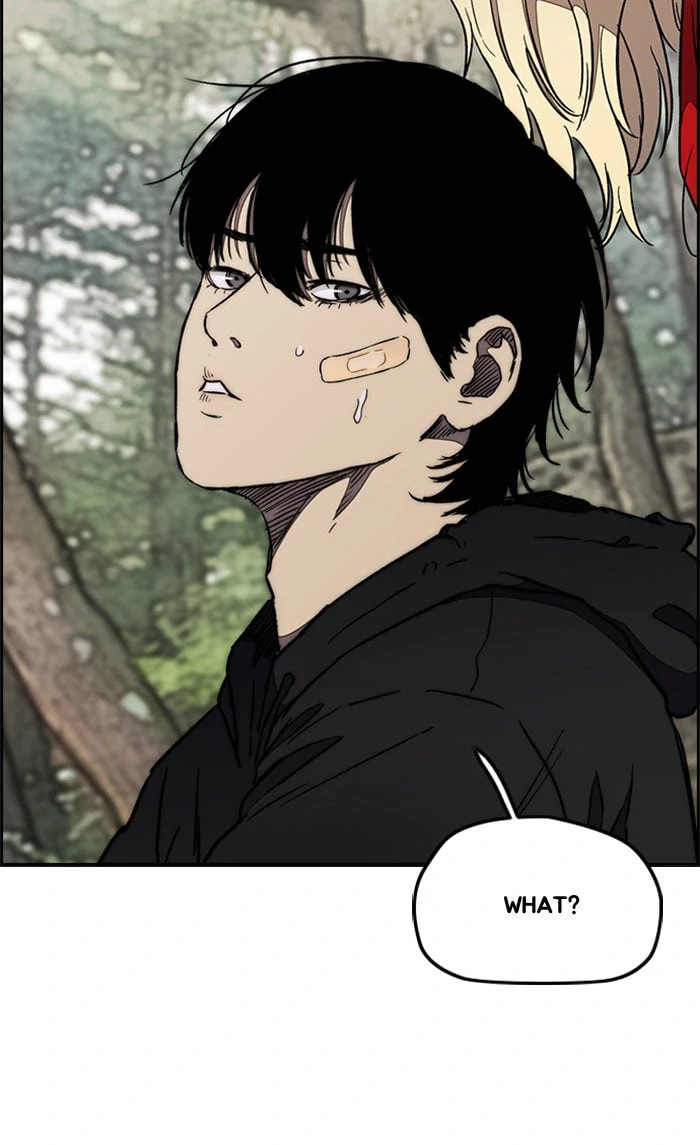 Wind Breaker, chapter 262, image 40