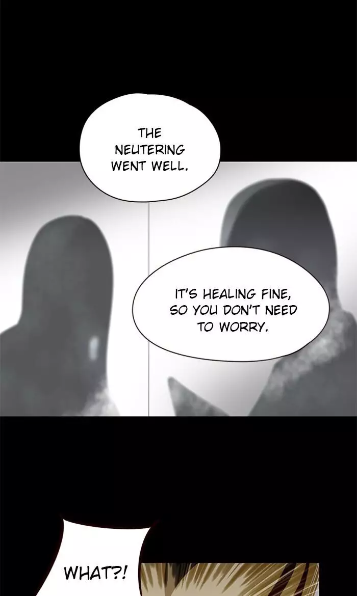 Eleceed, chapter 56, image 8