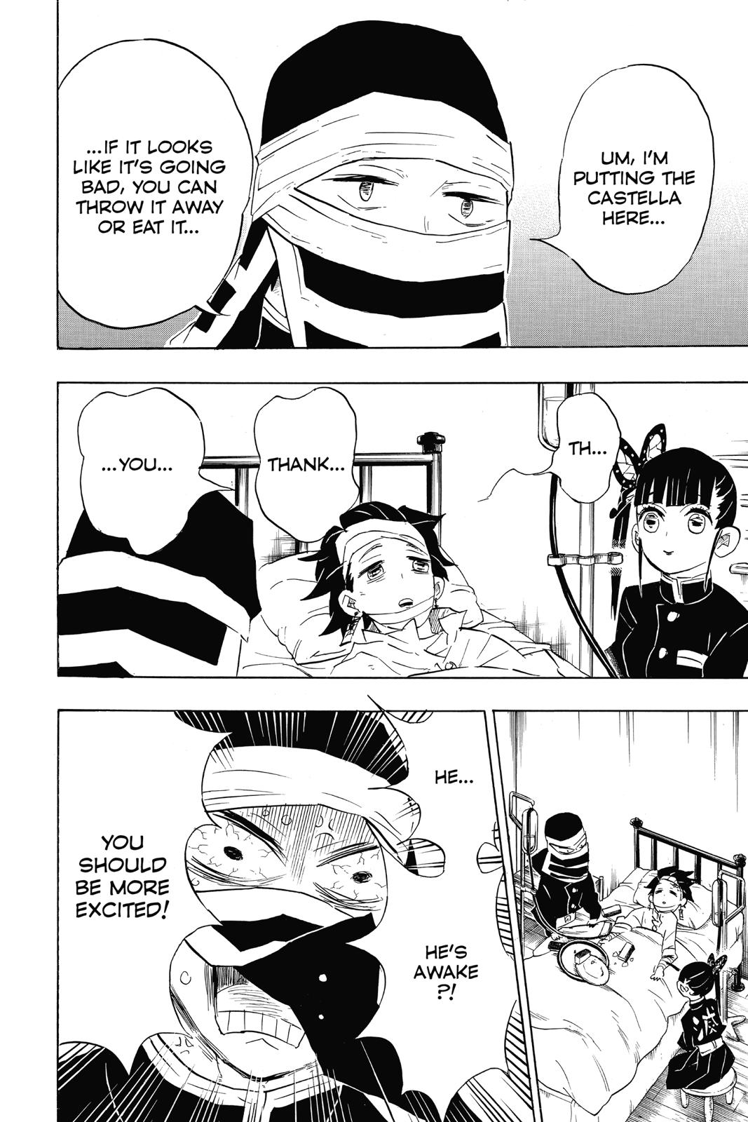 Demon Slayer: Kimetsu no Yaiba, chapter 100, image 4