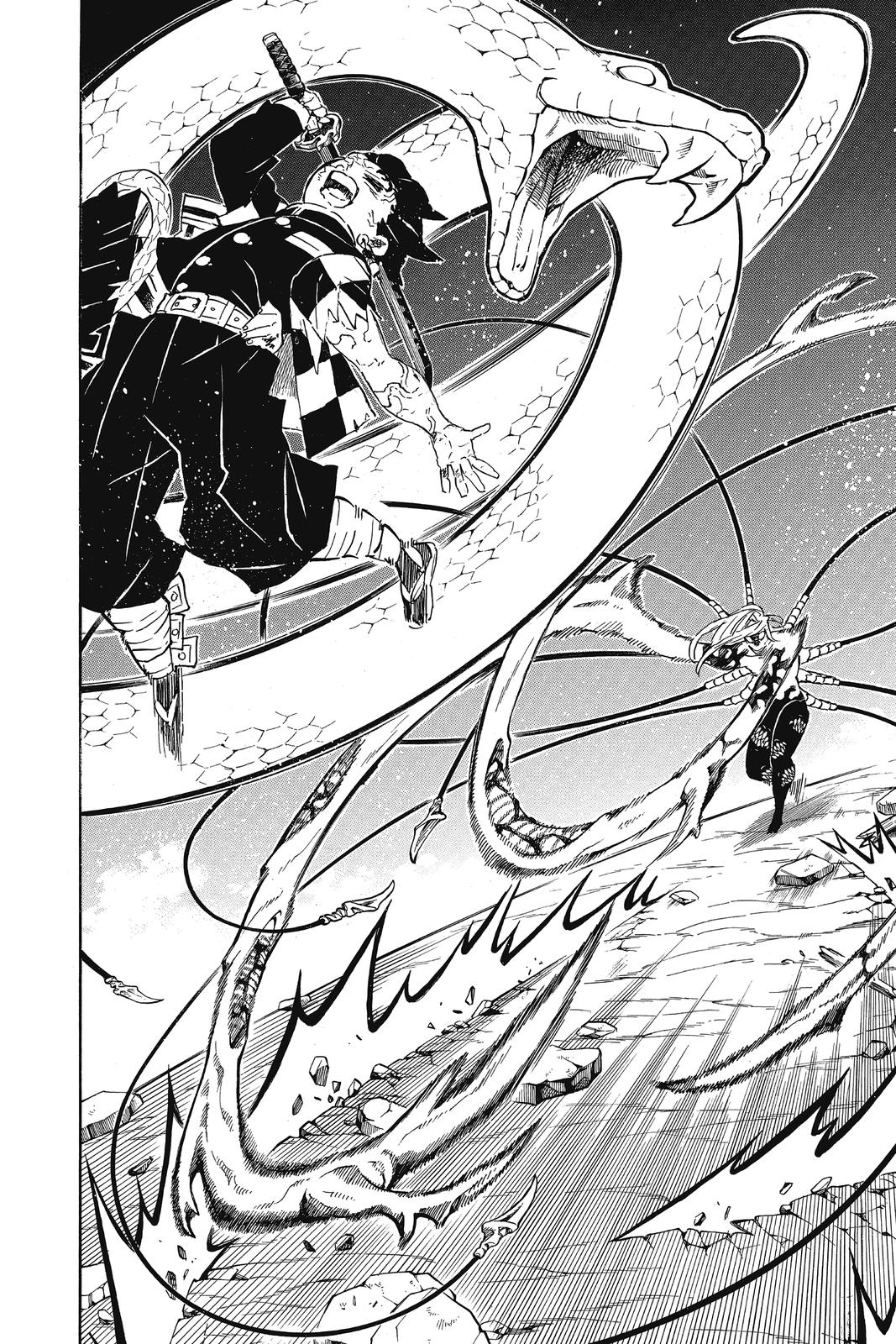 Demon Slayer: Kimetsu no Yaiba, chapter 194, image 8