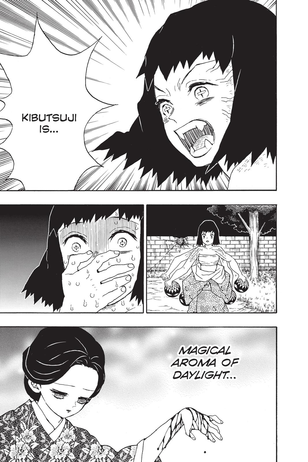 Demon Slayer: Kimetsu no Yaiba, chapter 18, image 17