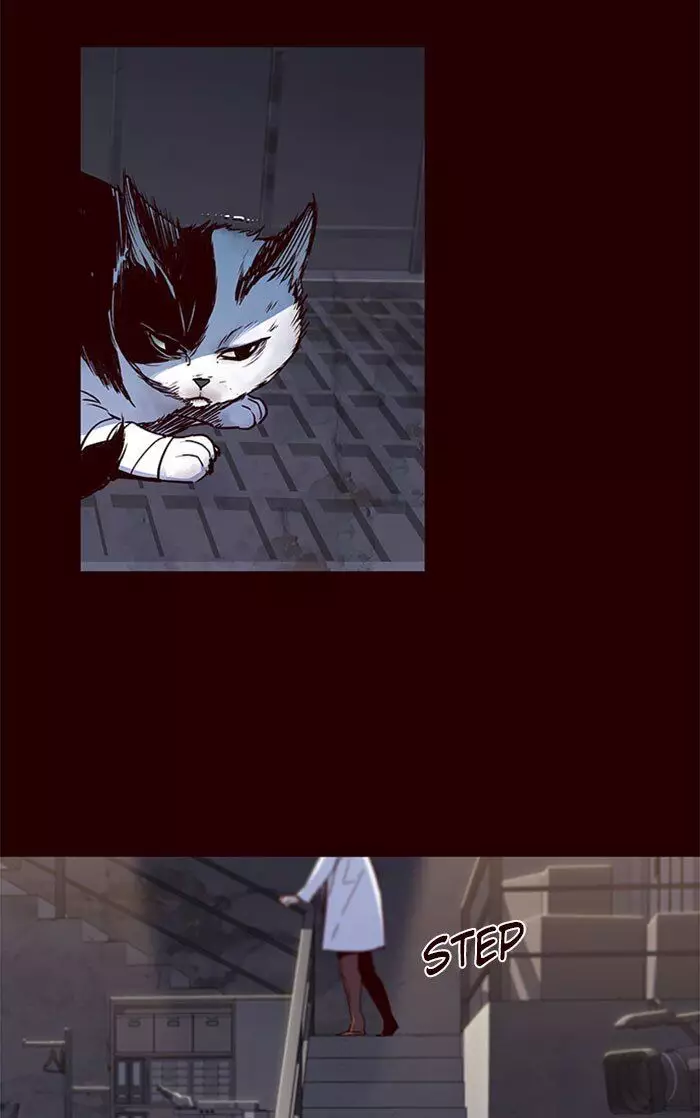Eleceed, chapter 36, image 15