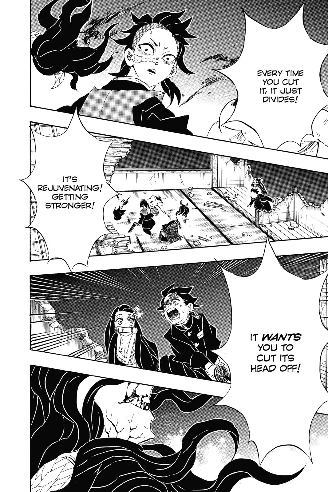 Demon Slayer: Kimetsu no Yaiba, chapter 107, image 12