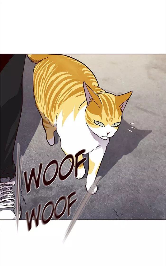 Eleceed, chapter 36, image 78