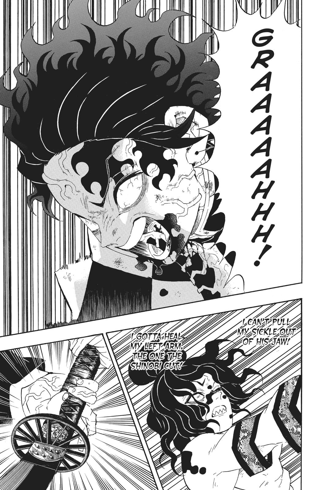 Demon Slayer: Kimetsu no Yaiba, chapter 94, image 5