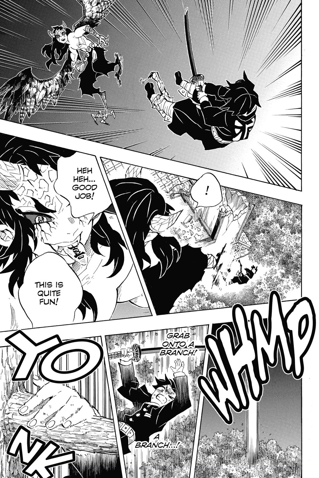 Demon Slayer: Kimetsu no Yaiba, chapter 107, image 19