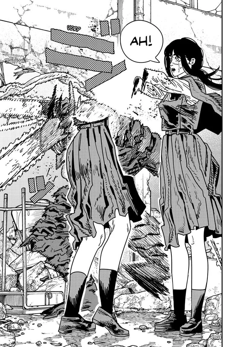 Chainsaw Man, chapter 219, image 12