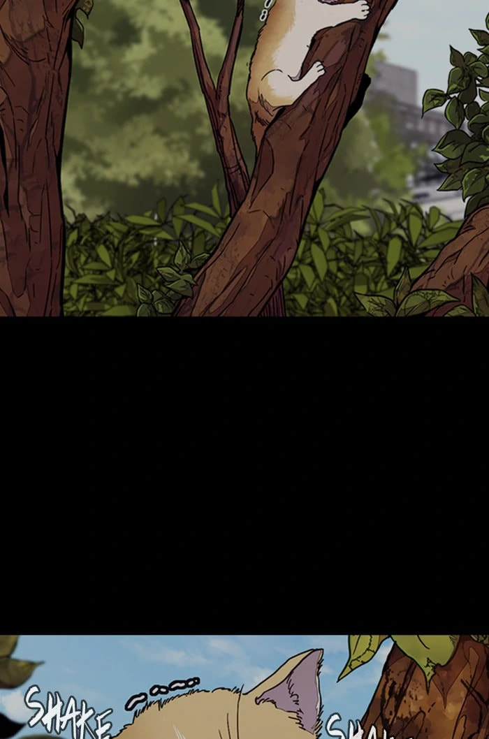 Wind Breaker, chapter 316, image 35