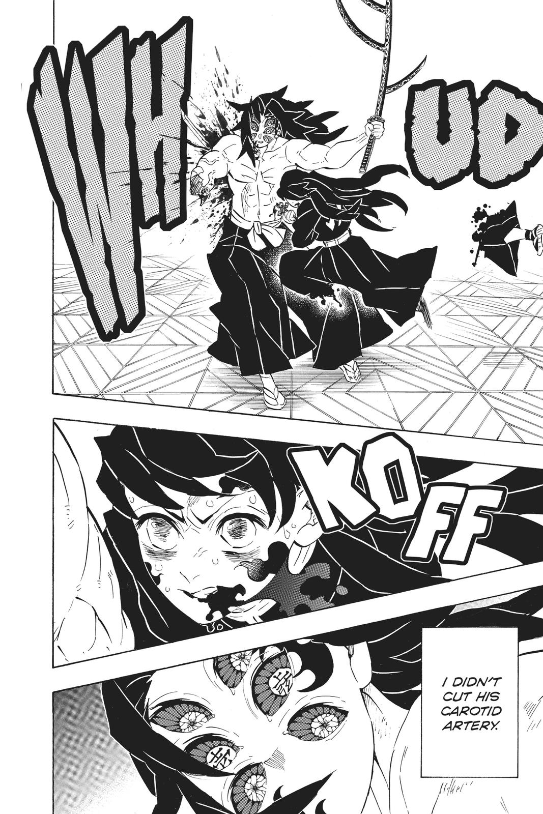 Demon Slayer: Kimetsu no Yaiba, chapter 173, image 14