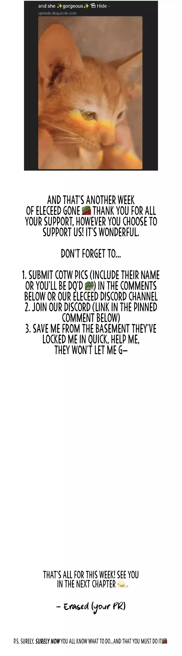 Eleceed, chapter 249, image 55