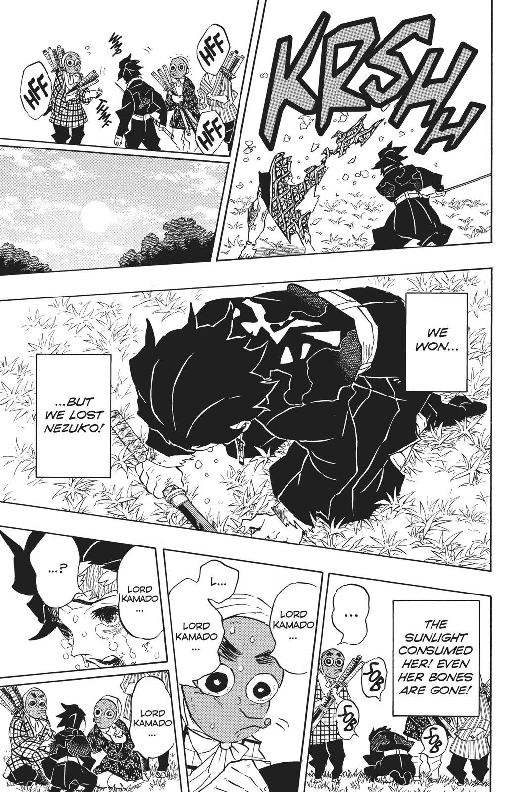Demon Slayer: Kimetsu no Yaiba, chapter 126, image 16