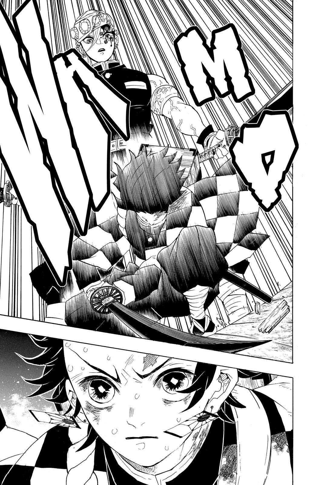 Demon Slayer: Kimetsu no Yaiba, chapter 87, image 22