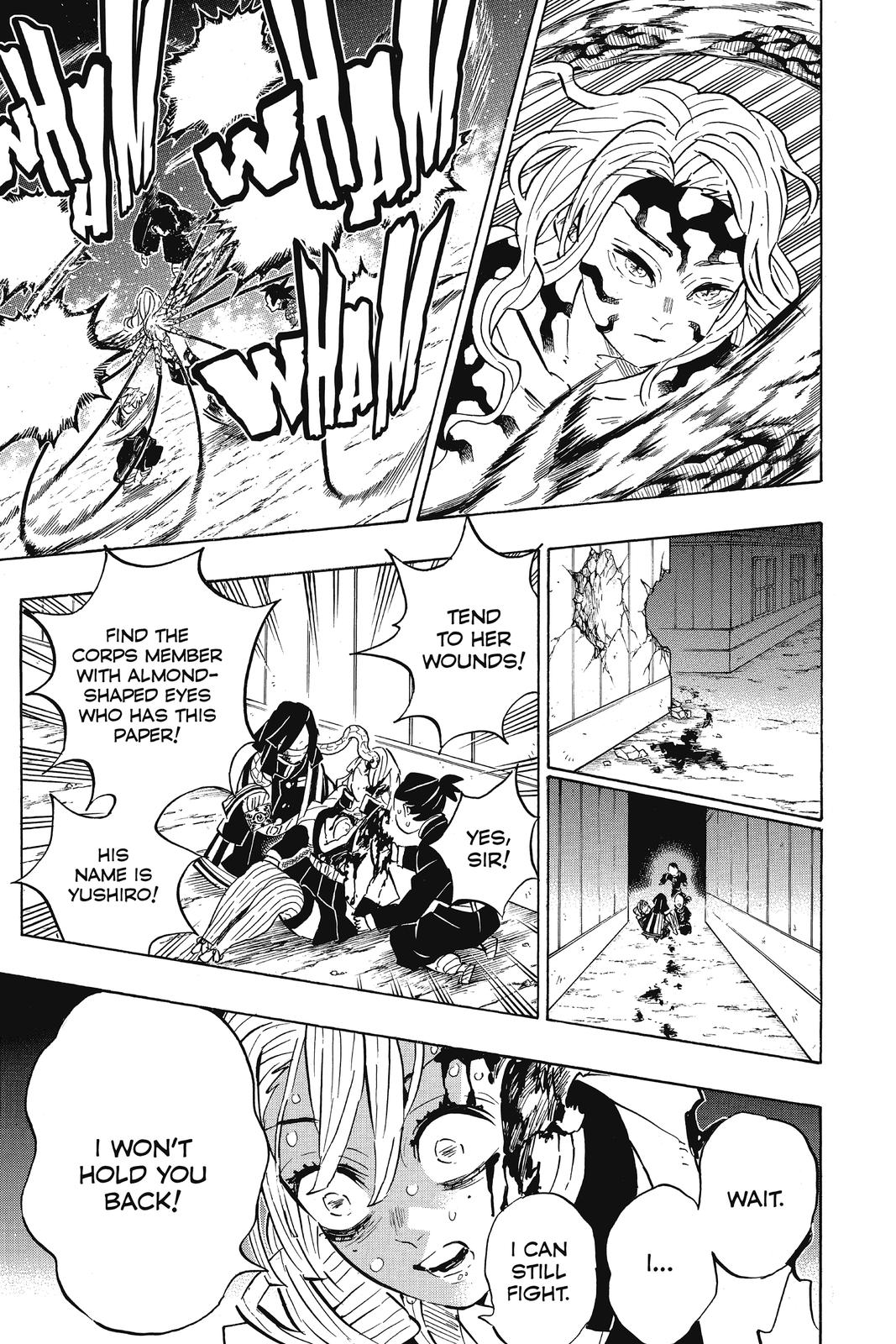 Demon Slayer: Kimetsu no Yaiba, chapter 188, image 13