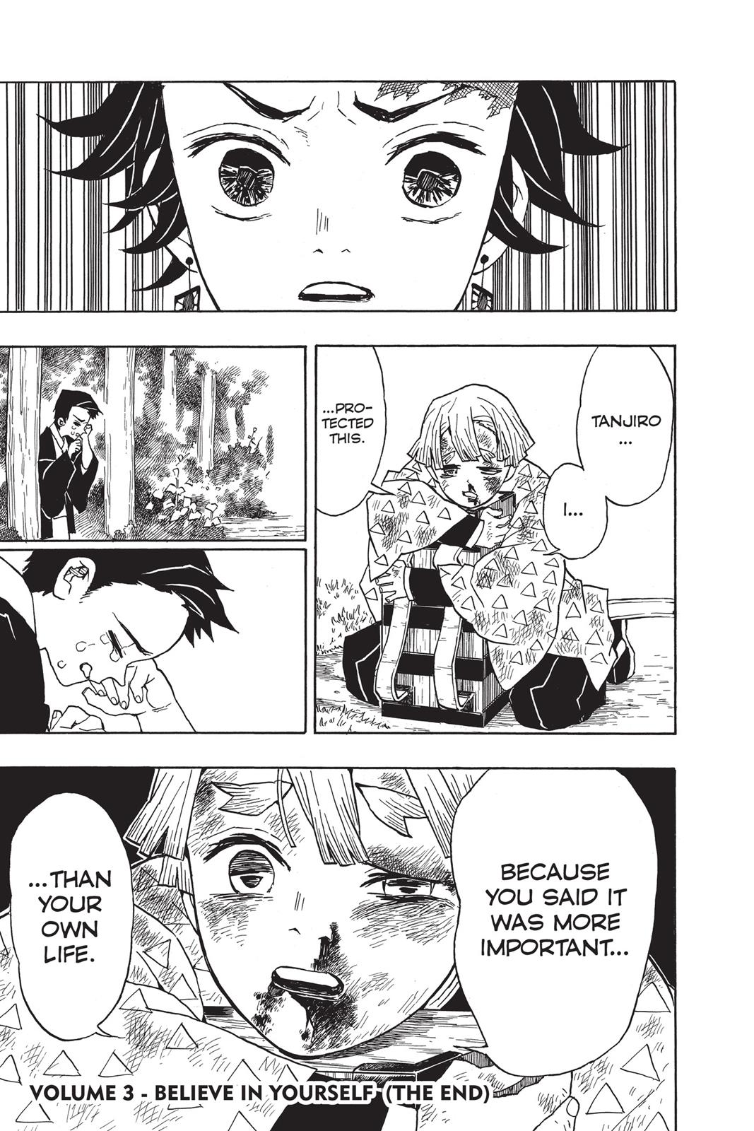 Demon Slayer: Kimetsu no Yaiba, chapter 25, image 19
