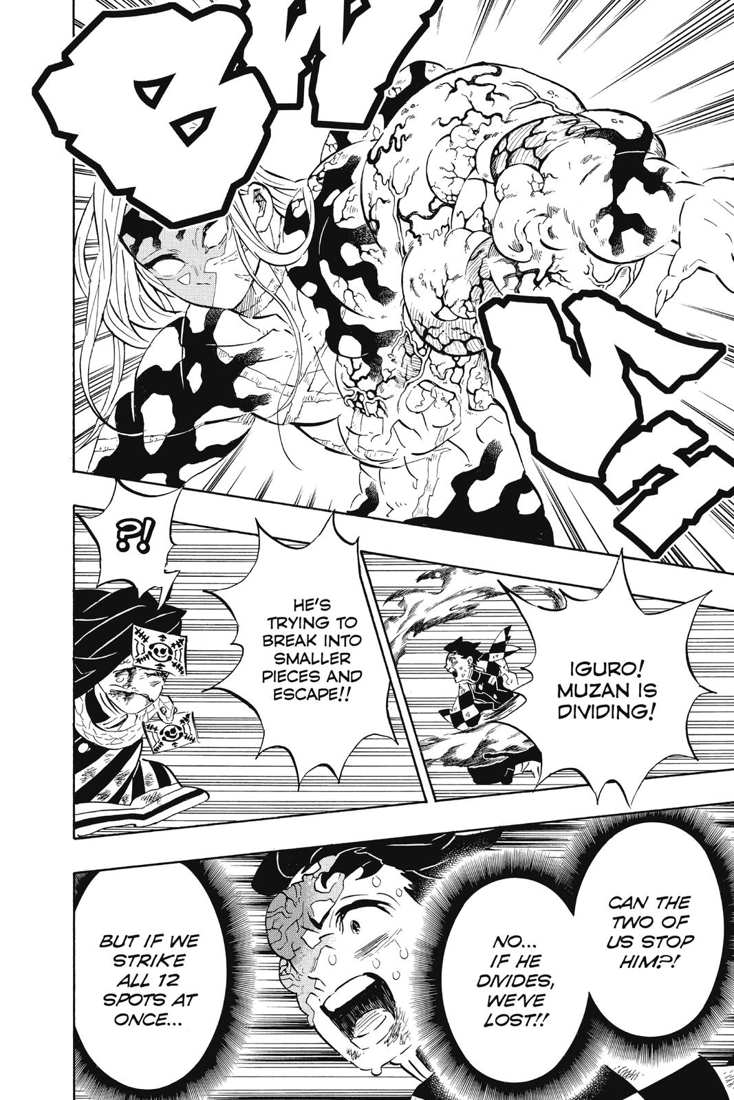 Demon Slayer: Kimetsu no Yaiba, chapter 196, image 16