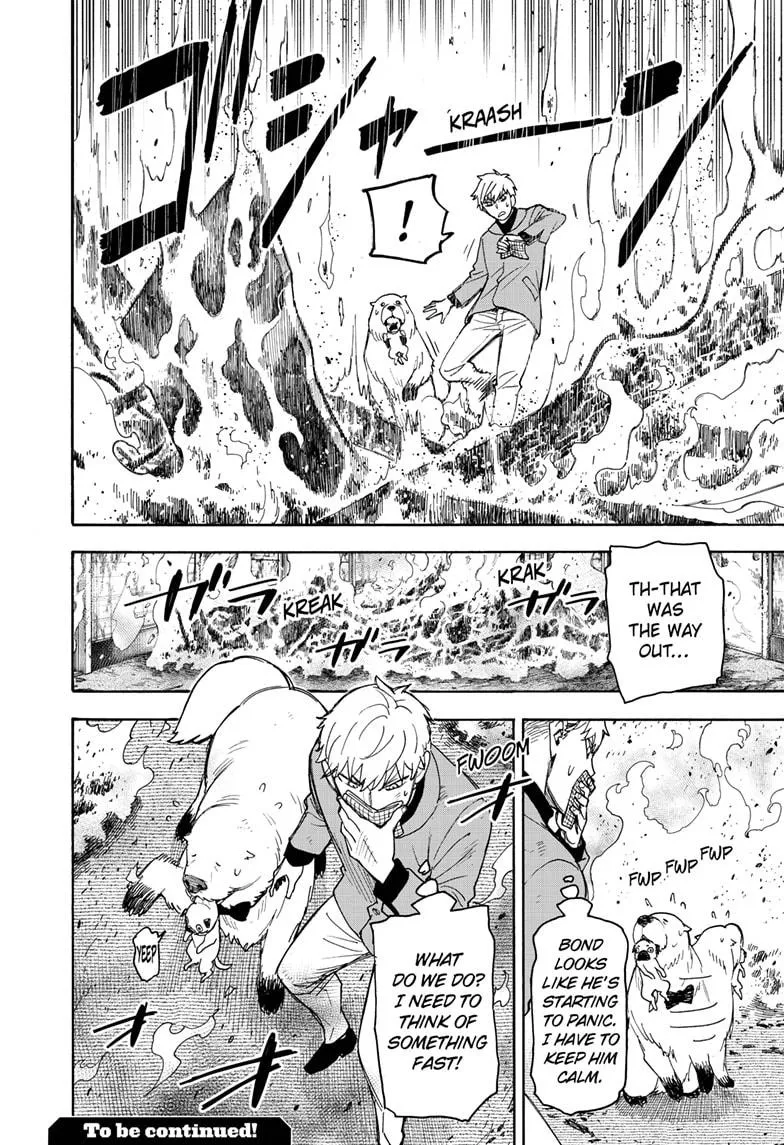 SPY x FAMILY, chapter 58.1, image 18