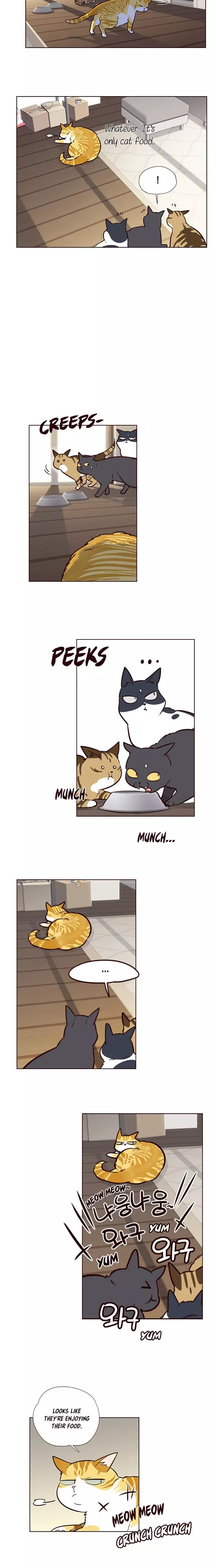 Eleceed, chapter 6, image 15