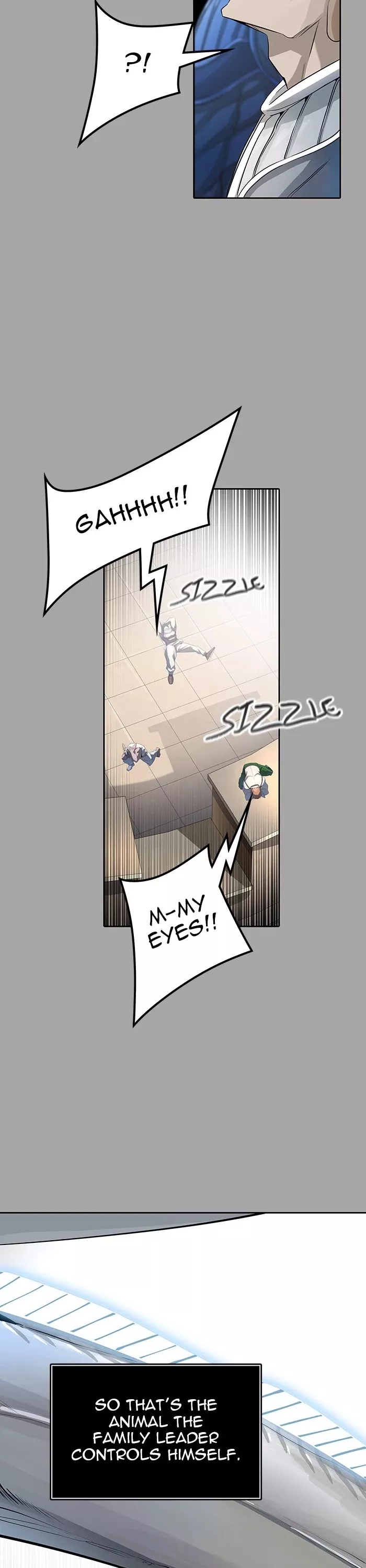 Tower of God, chapter 529, image 13