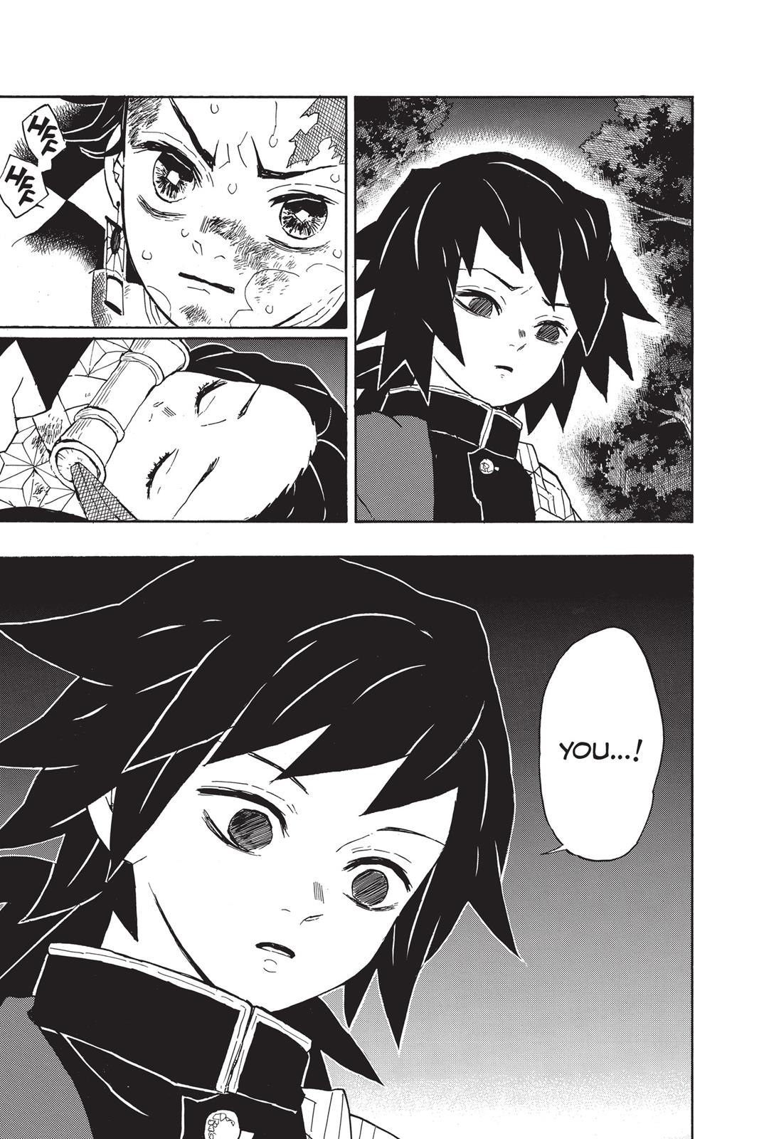 Demon Slayer: Kimetsu no Yaiba, chapter 43, image 17